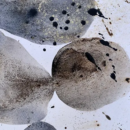 Дом отдыха La Buena Sombra