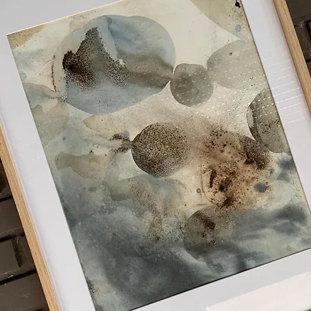 La Buena Sombra Аликанте