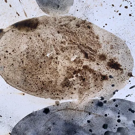 La Buena Sombra Дом отдыха