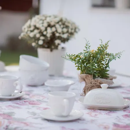 La Buena Sombra Аликанте