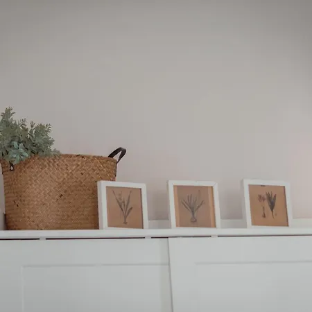 La Buena Sombra Аликанте