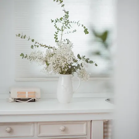 La Buena Sombra Дом отдыха Аликанте