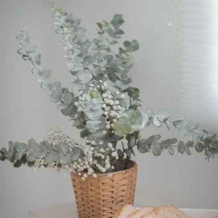 La Buena Sombra Аликанте