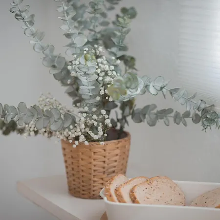 Дом отдыха La Buena Sombra Аликанте